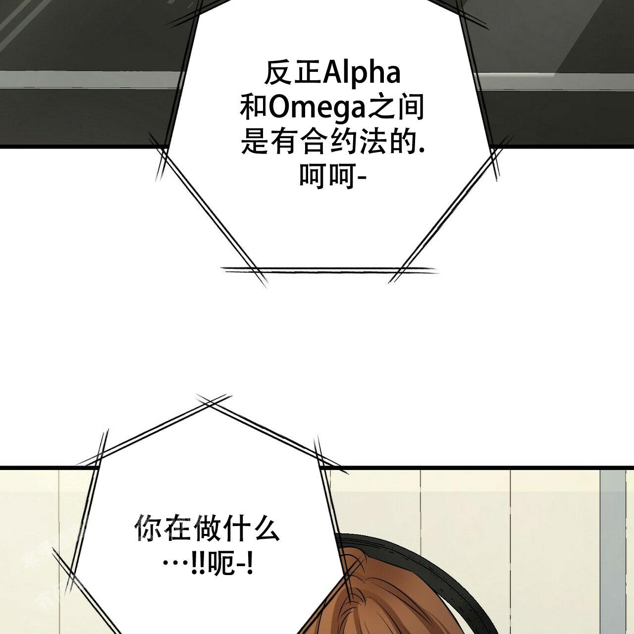 63.jpg
