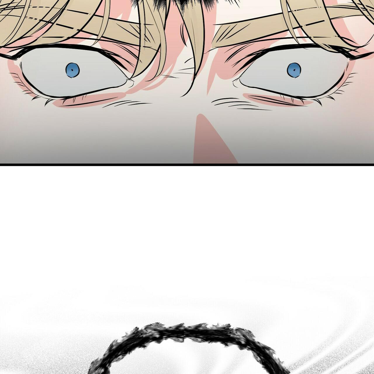67.jpg