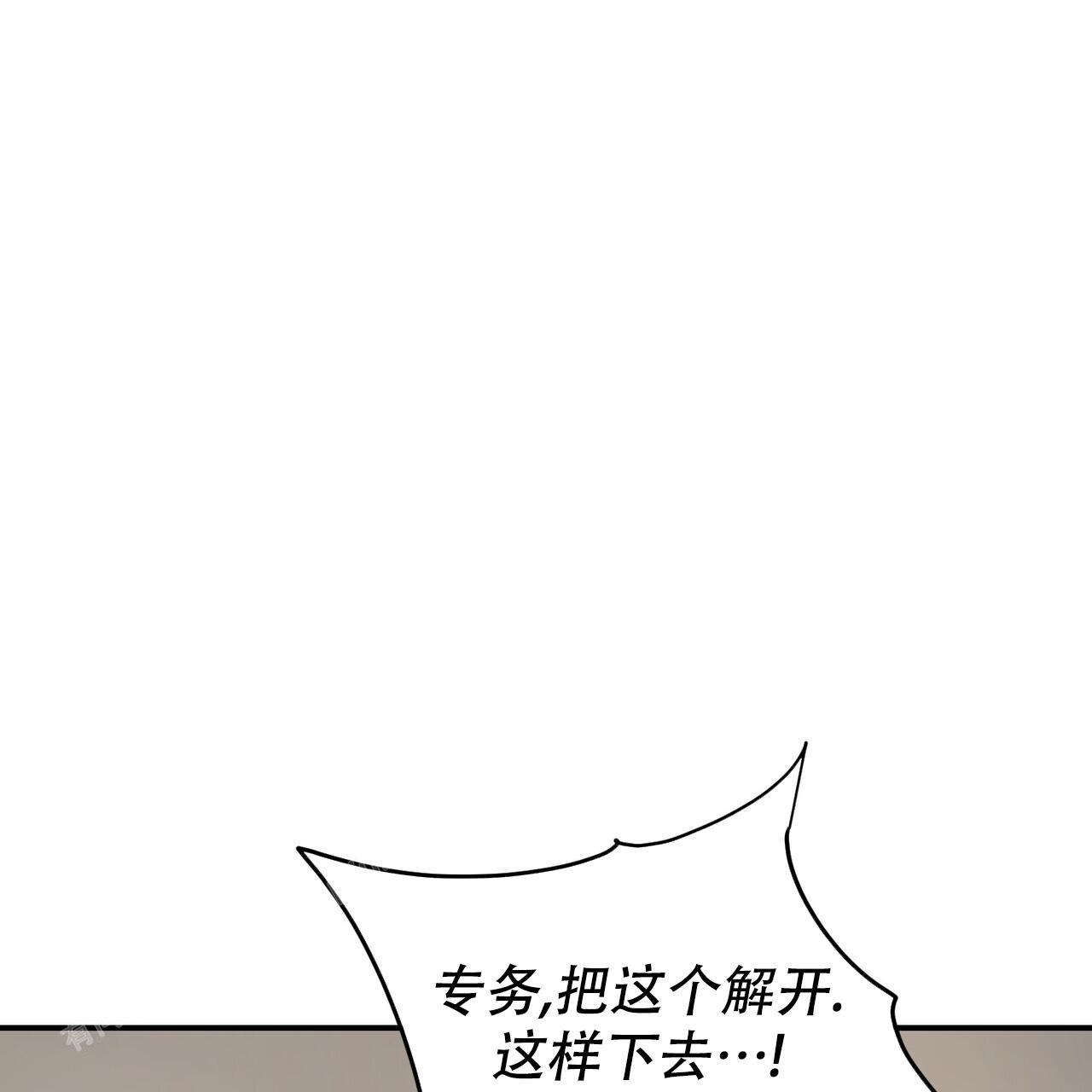48.jpg