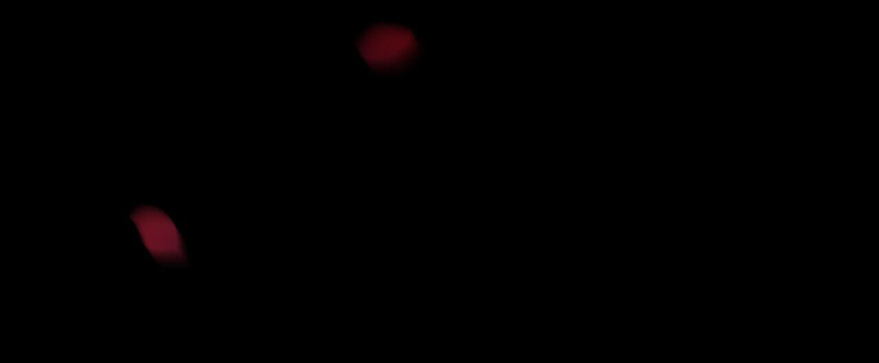 57.jpg