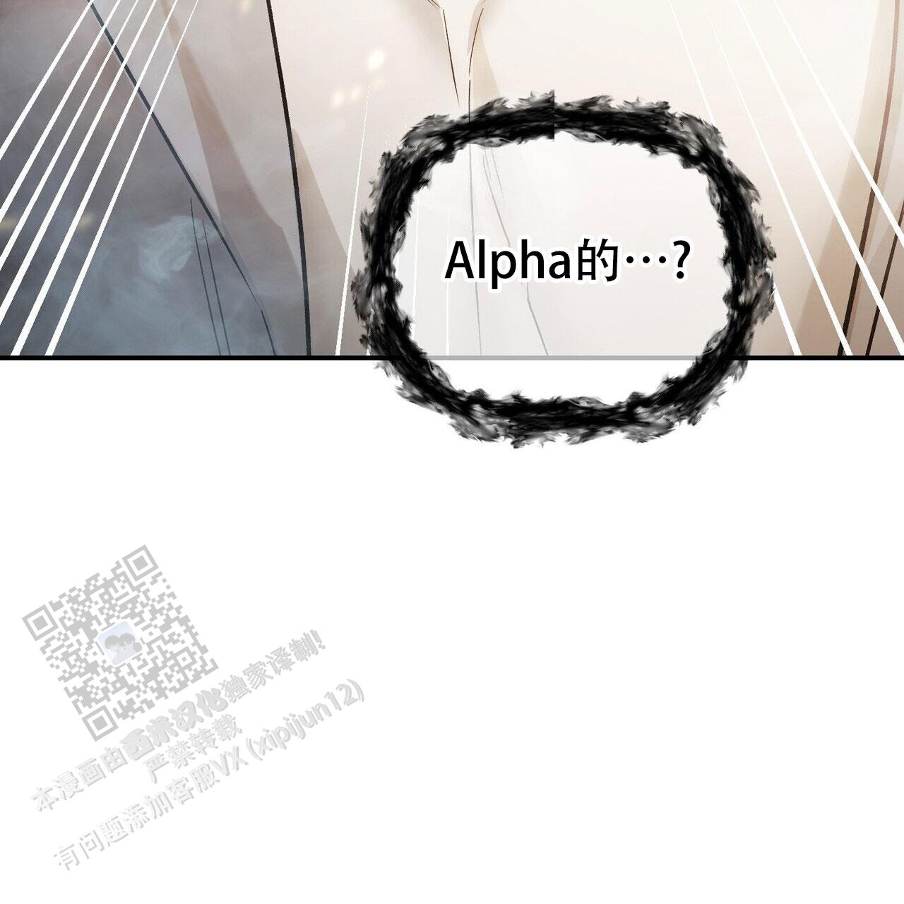 91.jpg