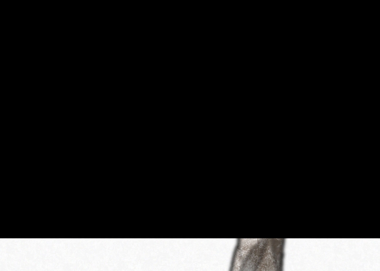 38.jpg