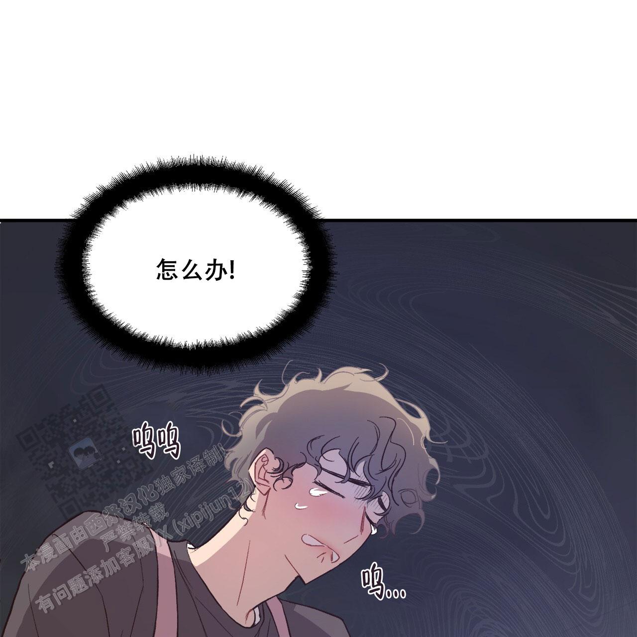 29.jpg