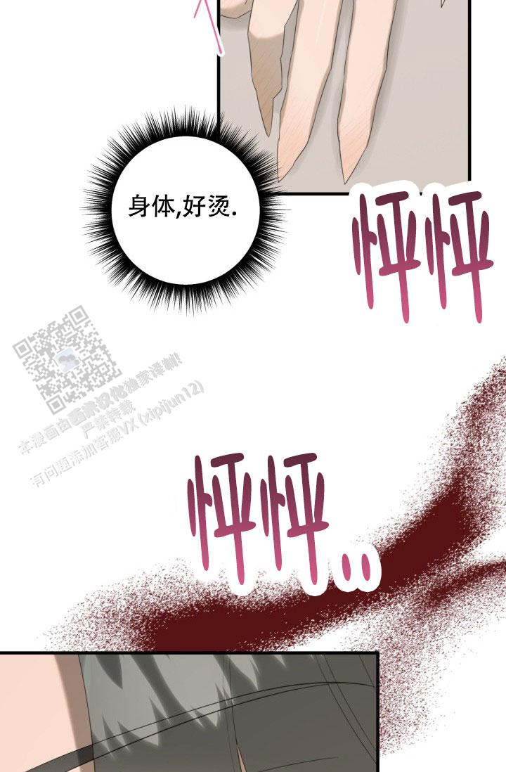 27.jpg