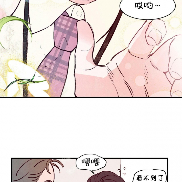 43.jpg