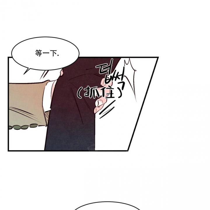 47.jpg