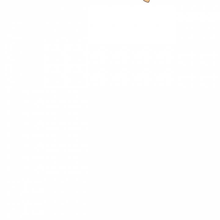 41.jpg