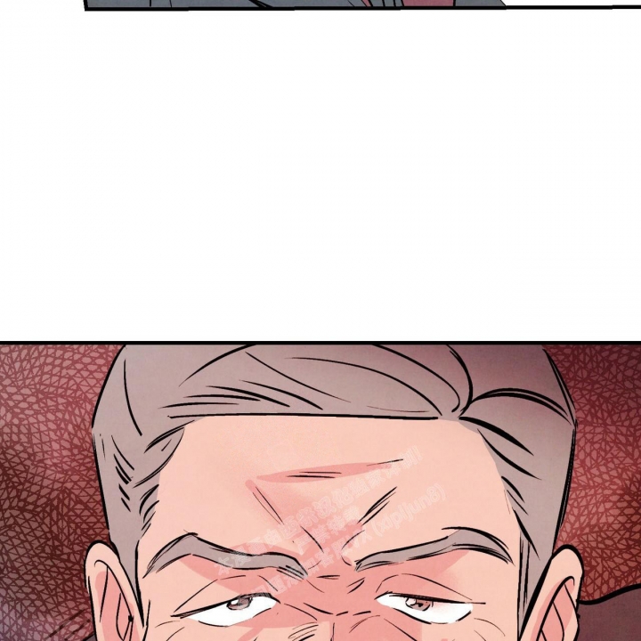 61.jpg
