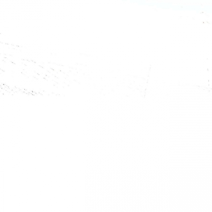 65.jpg