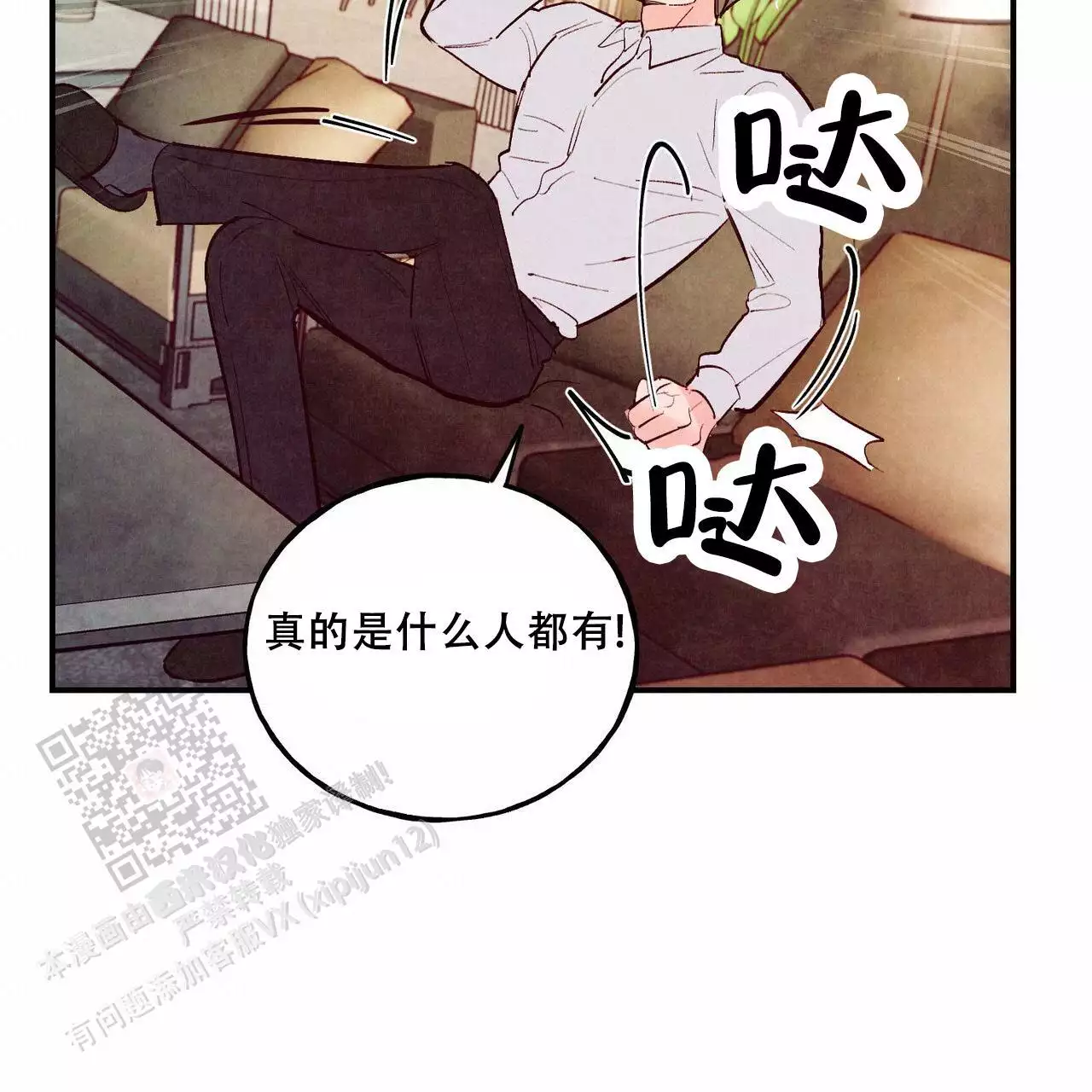 12.jpg