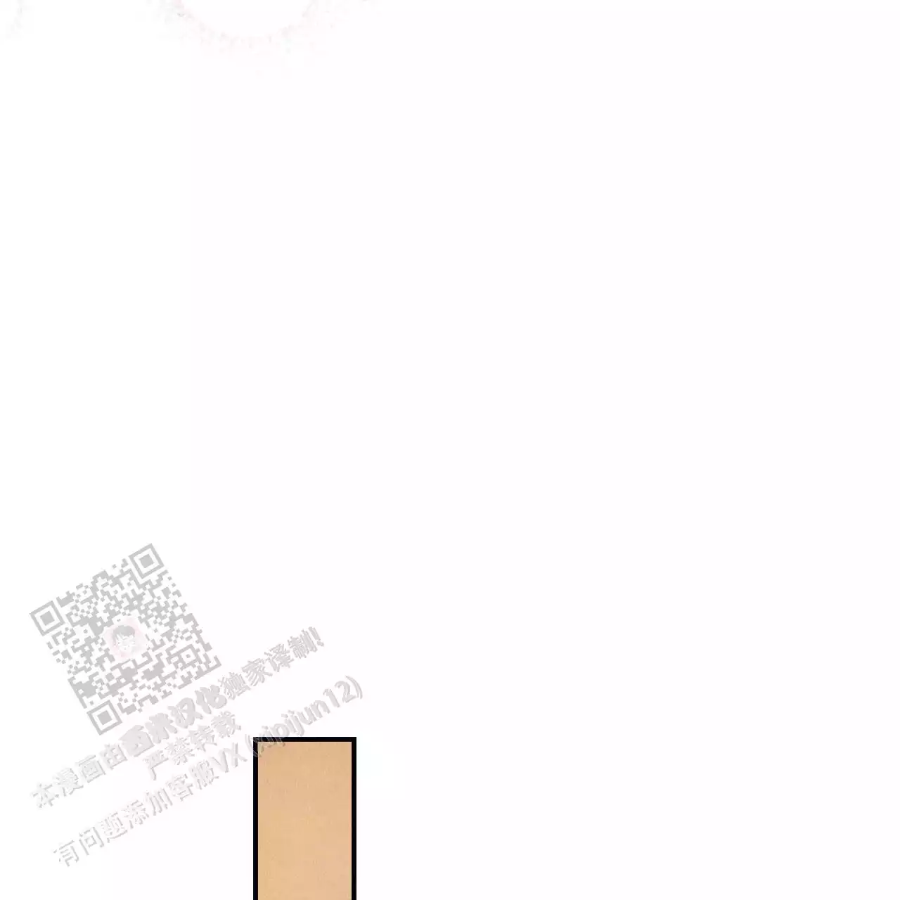 58.jpg