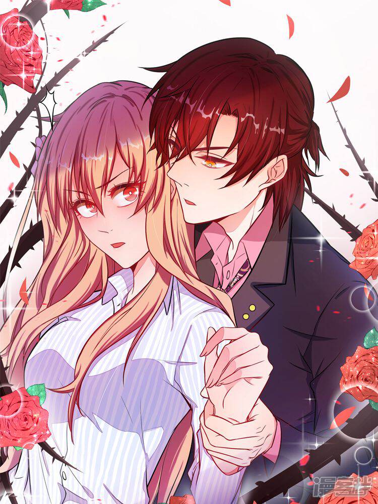 重生贵妻之华丽的复仇