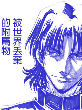 fate同人 被世界丢弃的附属物