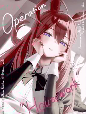 Operation &quotHousework&quot