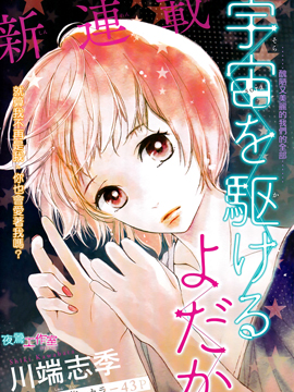 翱翔于天际的夜鹰