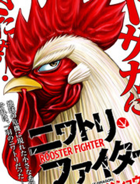 社会我鸡哥，人狠话不多