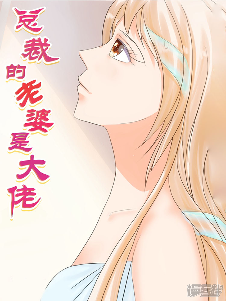 总裁的老婆是大佬