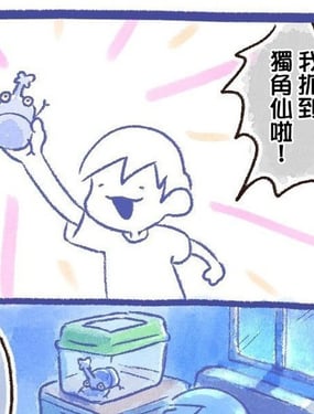 刈的宝可梦系列