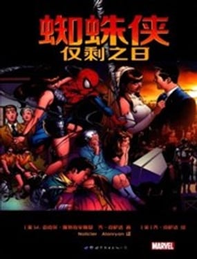 蜘蛛侠仅剩之日