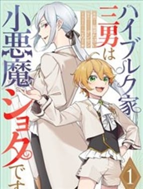 小恶魔少年与世界最强男装未婚妻