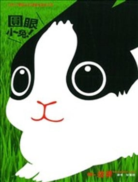 圆眼小兔