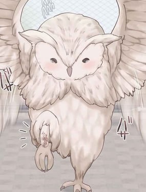 捡到的猫头鹰变成了女孩子