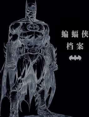蝙蝠侠档案