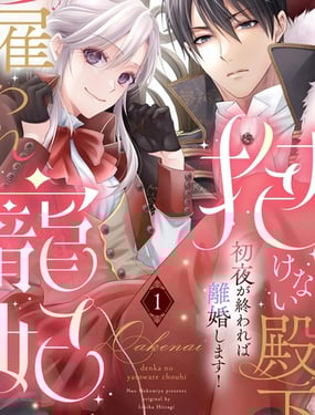 无法拥抱的殿下的雇佣宠妃 初夜结束就离婚!