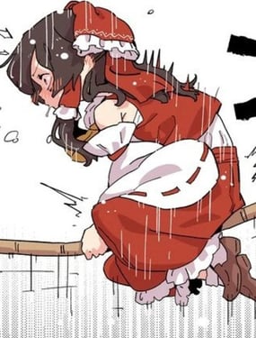 灵梦的扫帚初体验