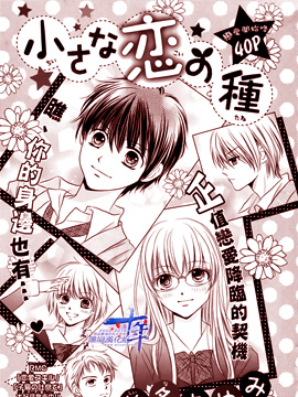 小小的恋爱种子