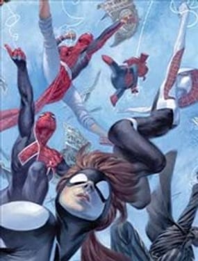 蜘蛛宇宙蛛网勇士