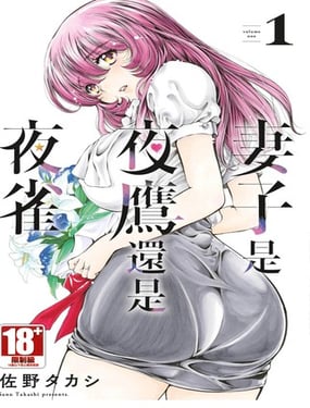 妻子是夜鹰还是夜雀