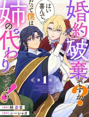 要解除婚约吗？好的，我很乐意。因为我只是姐姐的替身而已！