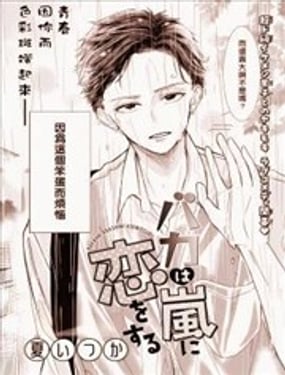 笨蛋爱上暴风雨