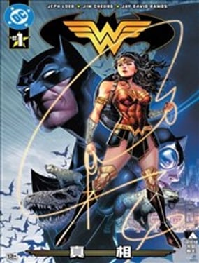 蝙蝠侠/神奇女侠-真相