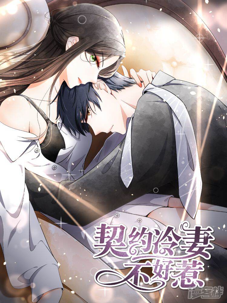 契约冷妻不好惹