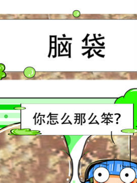 职业大吐槽之脑袋