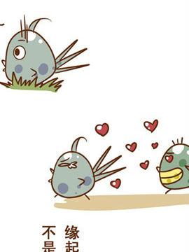 不如狗爱情哲理十九