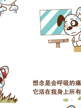 不如狗爱情哲理十一