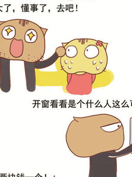搞怪猫第三辑二十天