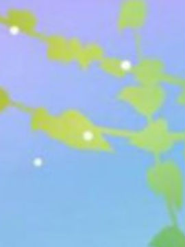 搞笑御宅族之朝三暮四