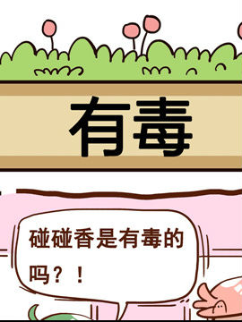 你对植物知多少之有毒