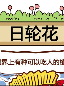 你对植物知多少之日轮花