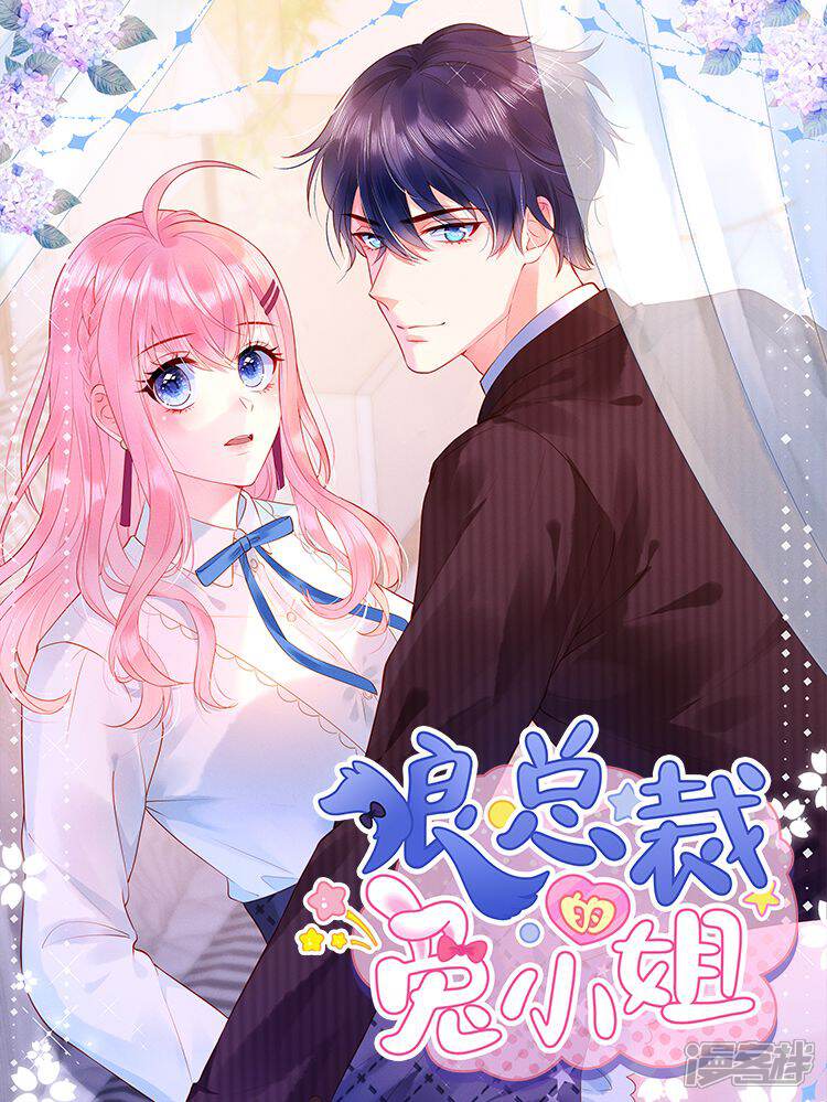 狼总裁的兔小姐