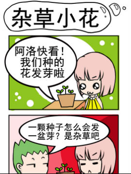 小菇和阿洛之杂草小花