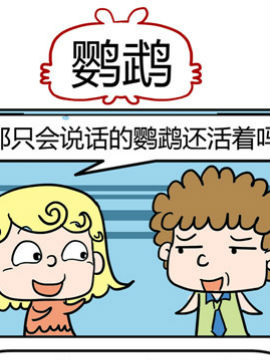 捣蛋一家子鹦鹉