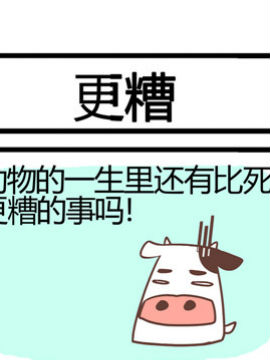 三角动物园十二