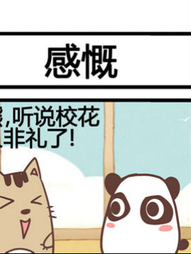 三角动物园十九