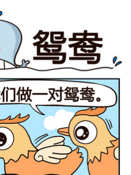 神鲸大侠之鸳鸯