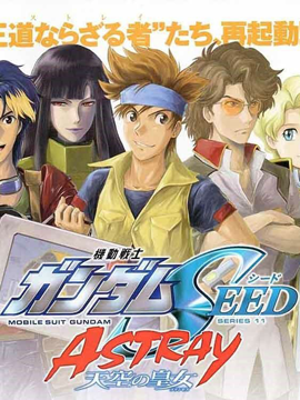 機動戰士高達SEED Astray天空的皇女